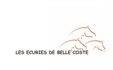 EARL les écuries de belle coste